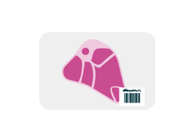 Consumer phase. Pork bistec