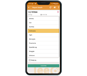 Smartphone die de weergave van het sterfterapport in de app toont.
