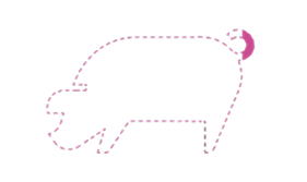 Icoon met roze gevulde stippen voor 2,77%.
