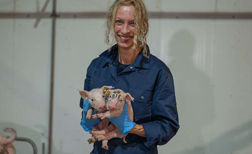 Minder reactie op het enten helpt kraamstalberigheid voorkomen